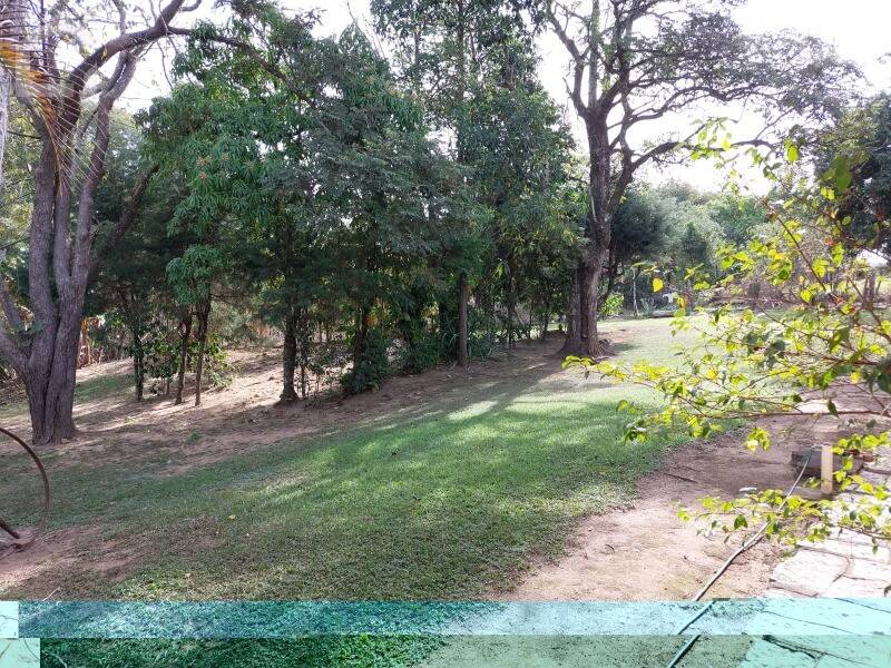 Casa, 3 quartos, 500 m² - Foto 52