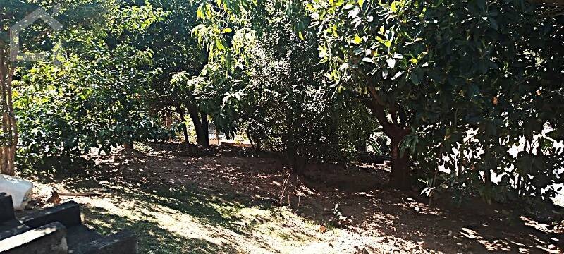 Casa, 3 quartos, 272 m² - Foto 32