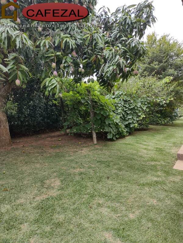 Casa, 4 quartos, 950 m² - Foto 79