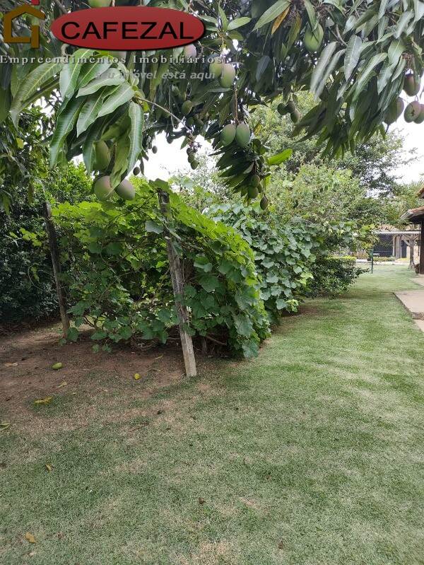Casa, 4 quartos, 950 m² - Foto 80