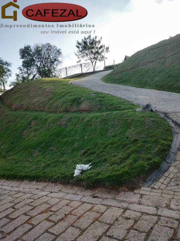 Terreno, 1011 m² - Foto 7