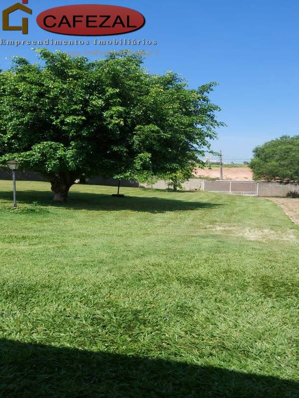 Depósito-Galpão, 250 m² - Foto 4