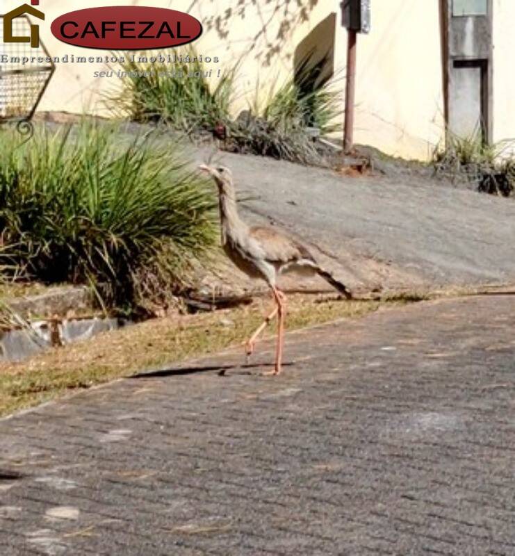 Casa de Condomínio, 3 quartos - Foto 64