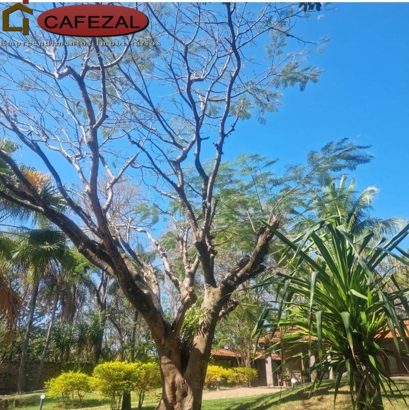 Casa, 2 quartos, 1100 m² - Foto 6