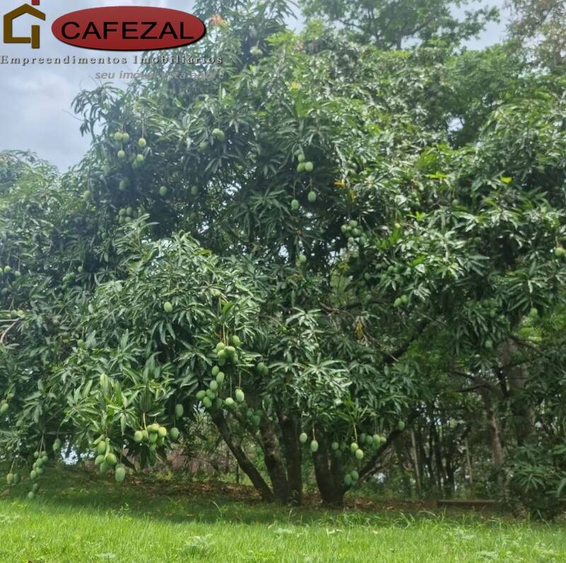 Casa, 2 quartos, 1100 m² - Foto 15