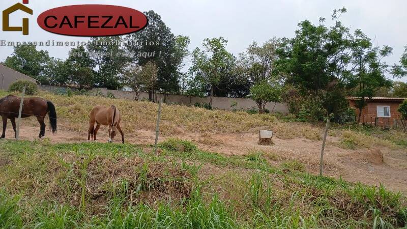 Terreno, 1000 m² - Foto 10