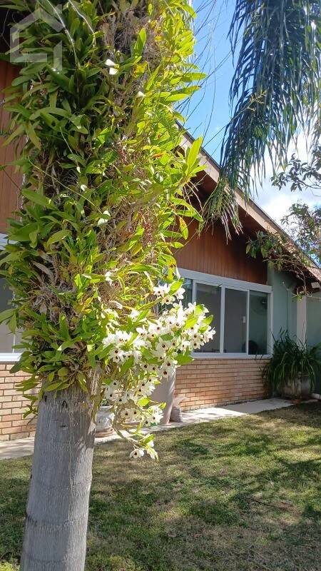 Casa, 5 quartos, 492 m² - Foto 18