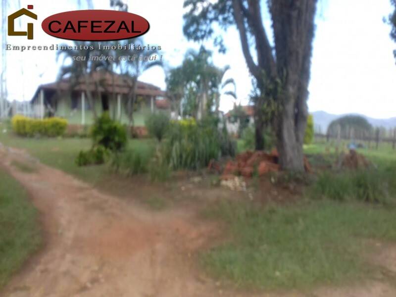 Terreno, 4 hectares - Foto 5