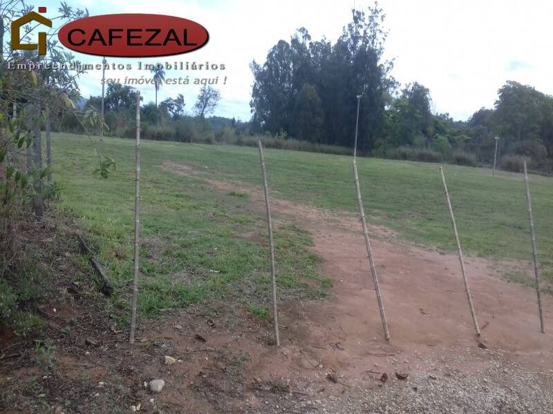 Terreno, 4 hectares - Foto 6