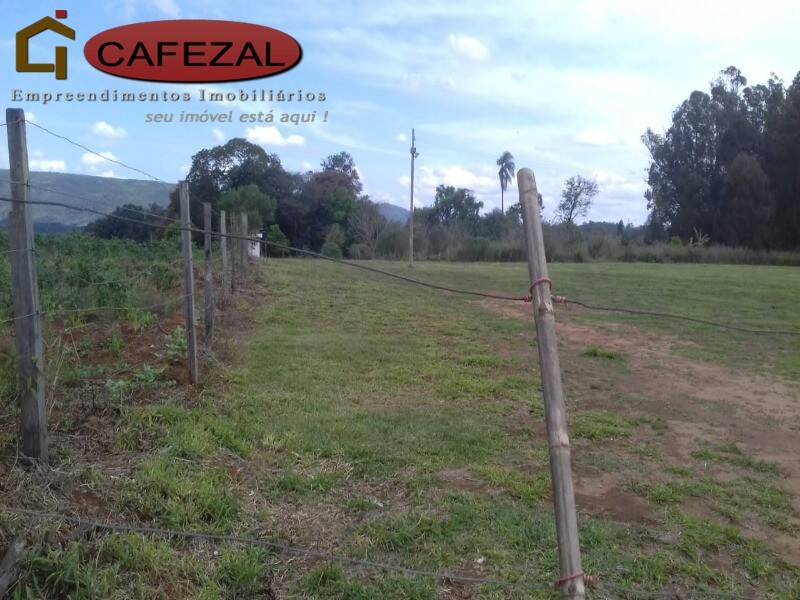 Terreno, 4 hectares - Foto 8
