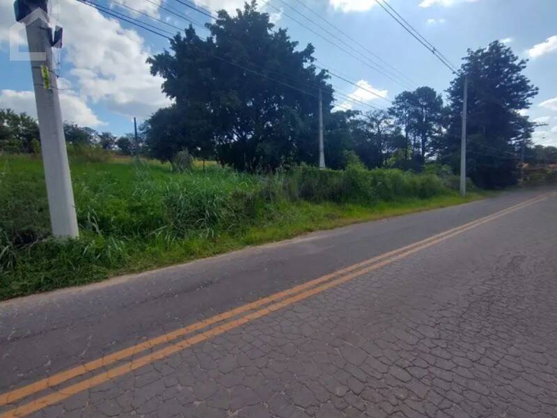 Depósito-Galpão - Foto 6