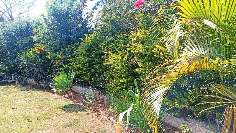 Casa, 3 quartos, 299 m² - Foto 19