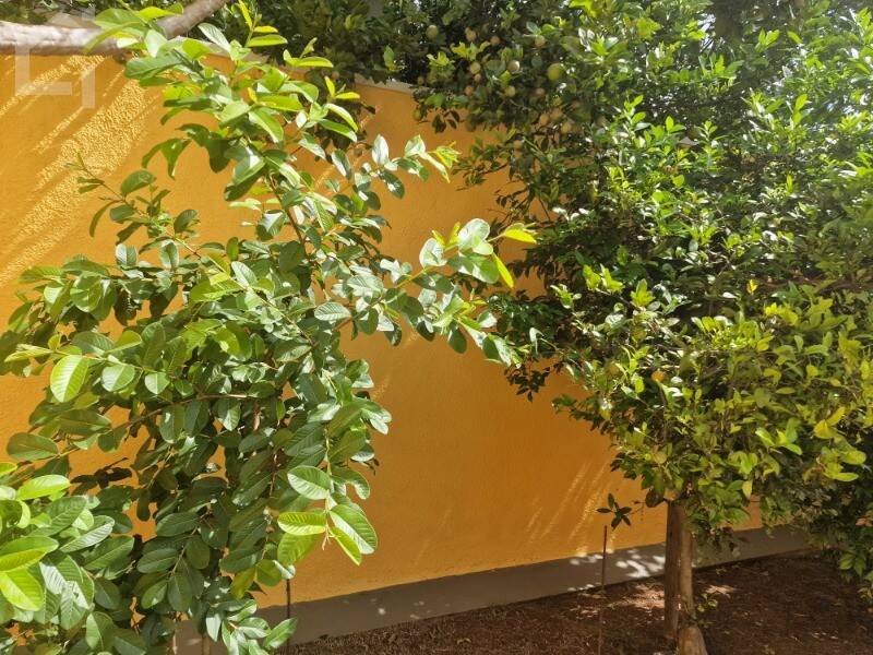 Casa de Condomínio, 3 quartos - Foto 19