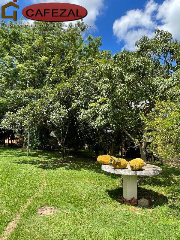 Casa, 5 quartos, 370 m² - Foto 40