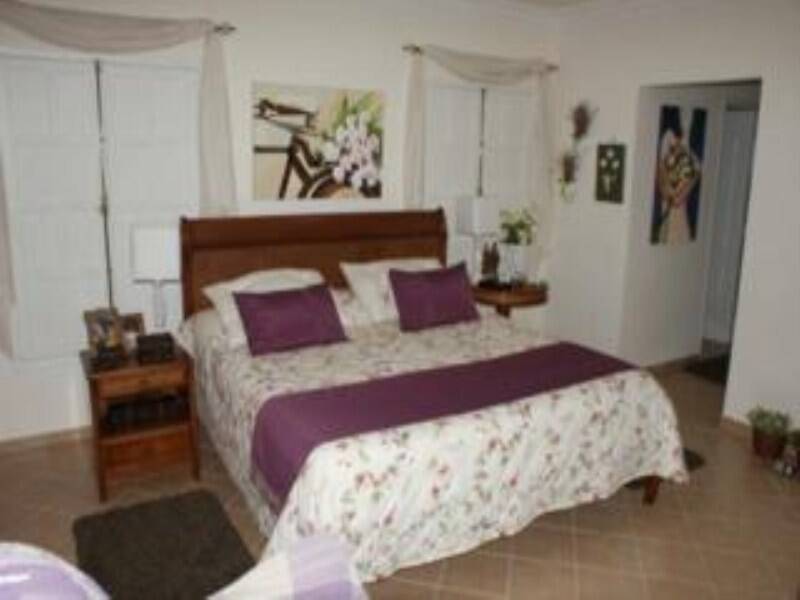 Casa, 4 quartos, 503 m² - Foto 13
