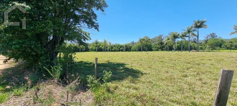 Terreno, 3 hectares - Foto 5