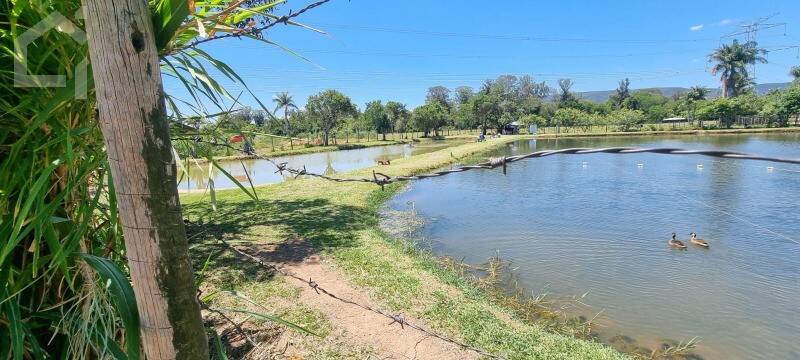 Terreno, 3 hectares - Foto 9