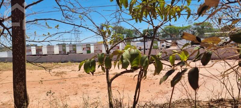 Depósito-Galpão - Foto 3