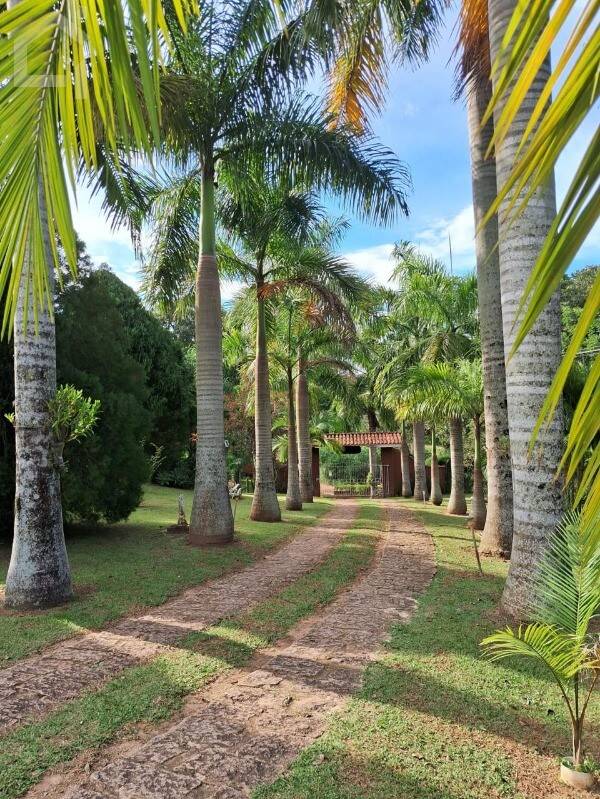 Casa, 3 quartos, 620 m² - Foto 39