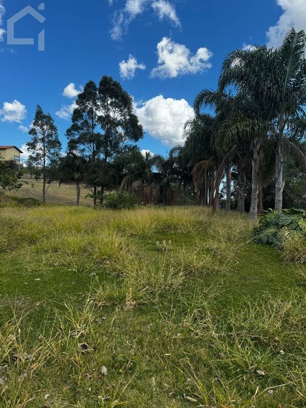 Terreno, 1489 m² - Foto 10