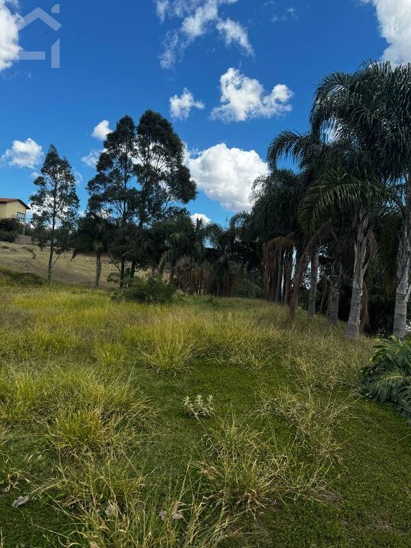 Terreno, 1489 m² - Foto 11