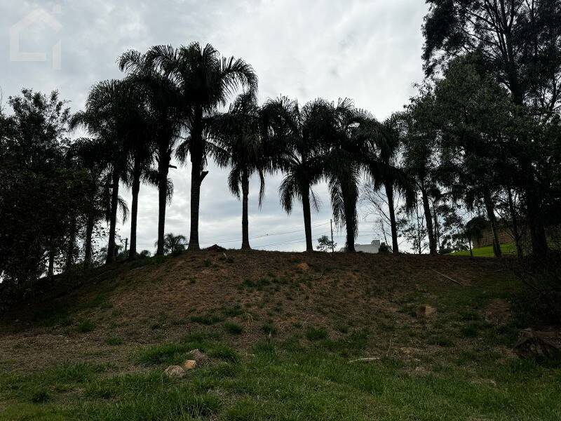 Terreno, 1489 m² - Foto 12