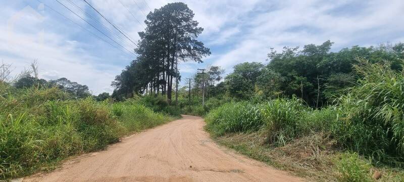 Depósito-Galpão - Foto 5