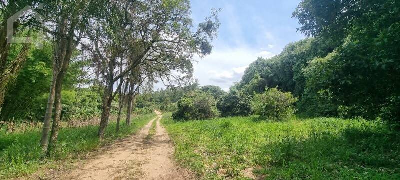 Depósito-Galpão - Foto 10