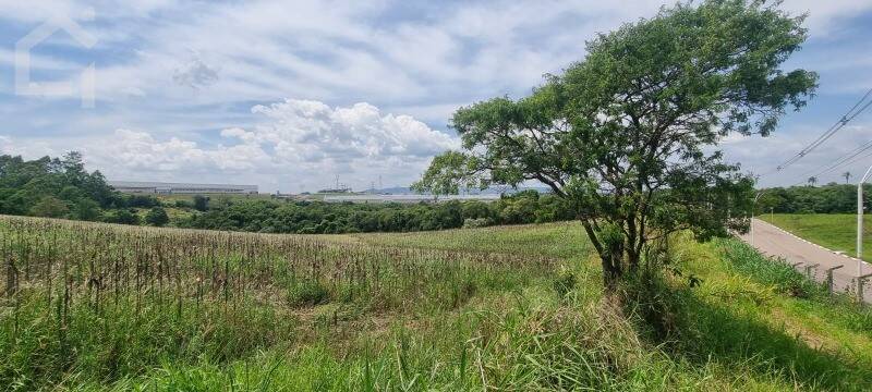 Depósito-Galpão - Foto 12