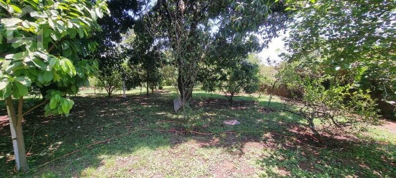Casa, 4 quartos, 480 m² - Foto 35