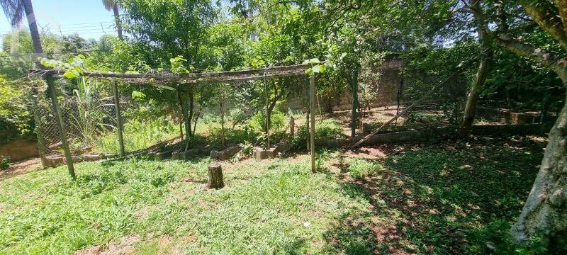 Casa, 4 quartos, 480 m² - Foto 38