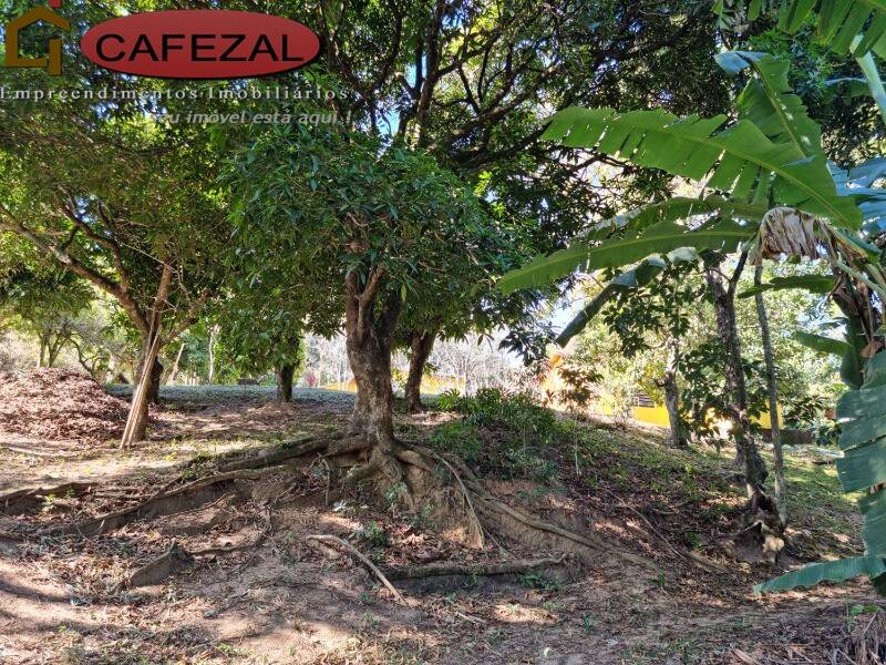 Casa, 4 quartos, 410 m² - Foto 33