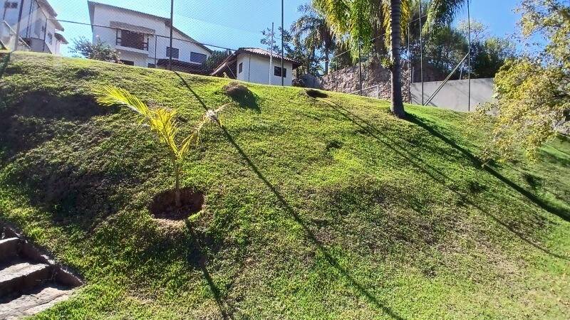 Casa, 4 quartos, 271 m² - Foto 56