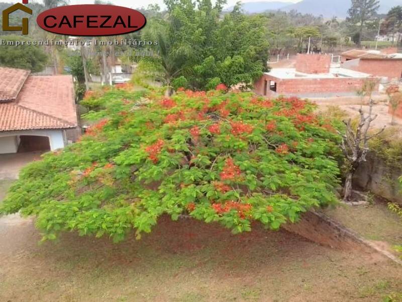 Casa, 4 quartos, 400 m² - Foto 45
