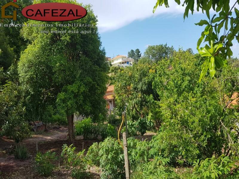 Casa, 3 quartos, 252 m² - Foto 13