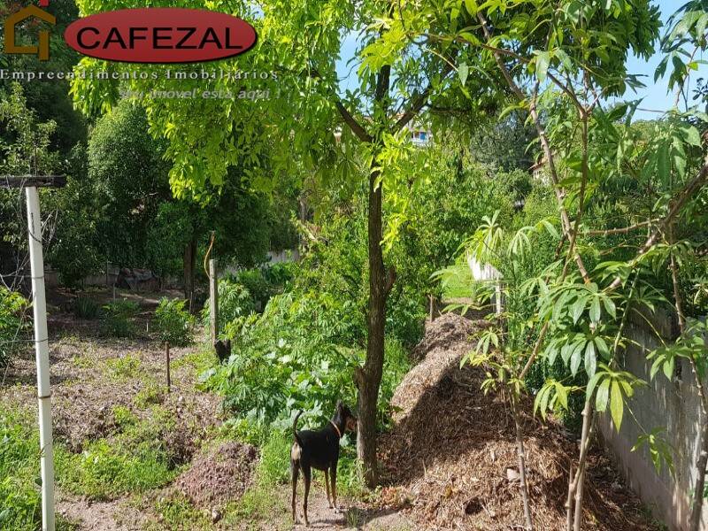Casa, 3 quartos, 252 m² - Foto 19