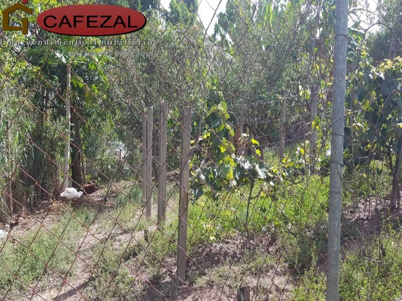 Casa, 3 quartos, 252 m² - Foto 20