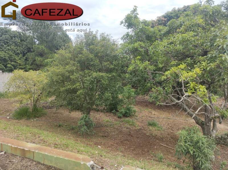 Terreno, 1200 m² - Foto 4
