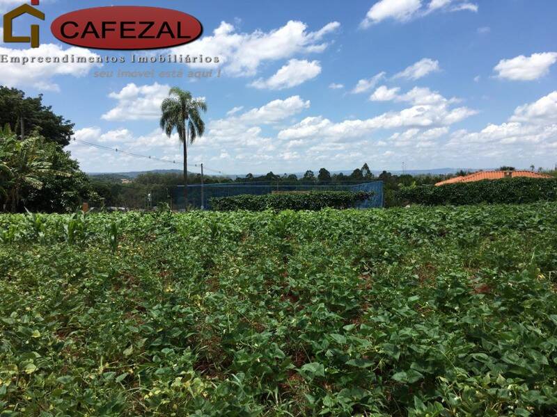 Casa, 4 quartos, 477 m² - Foto 24