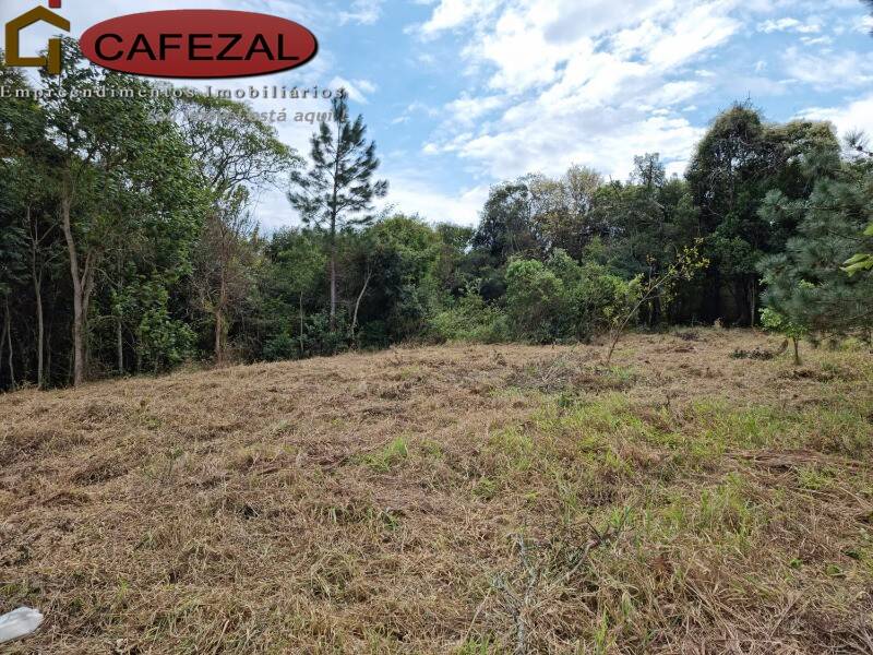 Terreno, 5000 m² - Foto 1