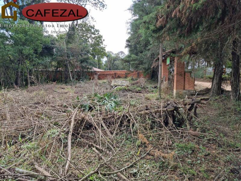 Terreno, 5000 m² - Foto 6