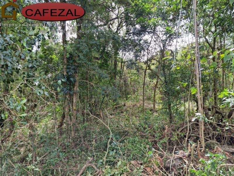 Terreno, 5000 m² - Foto 7