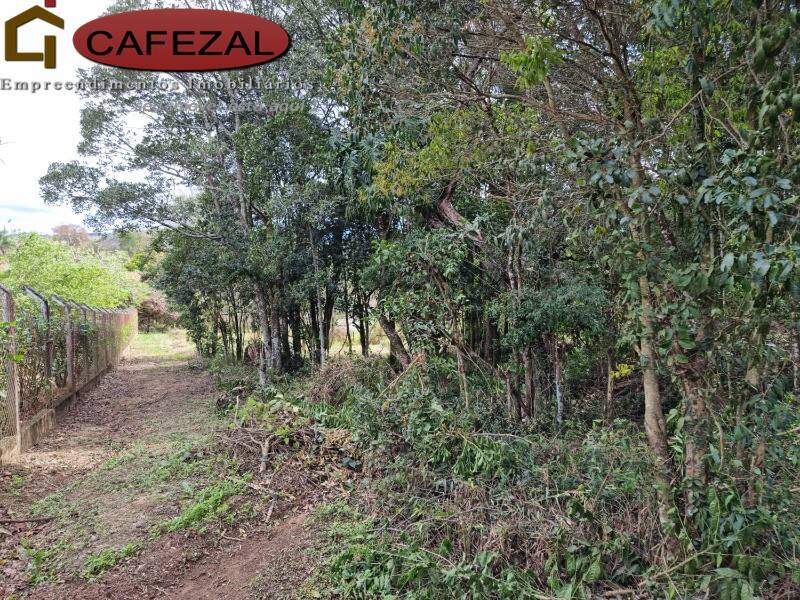 Terreno, 5000 m² - Foto 8