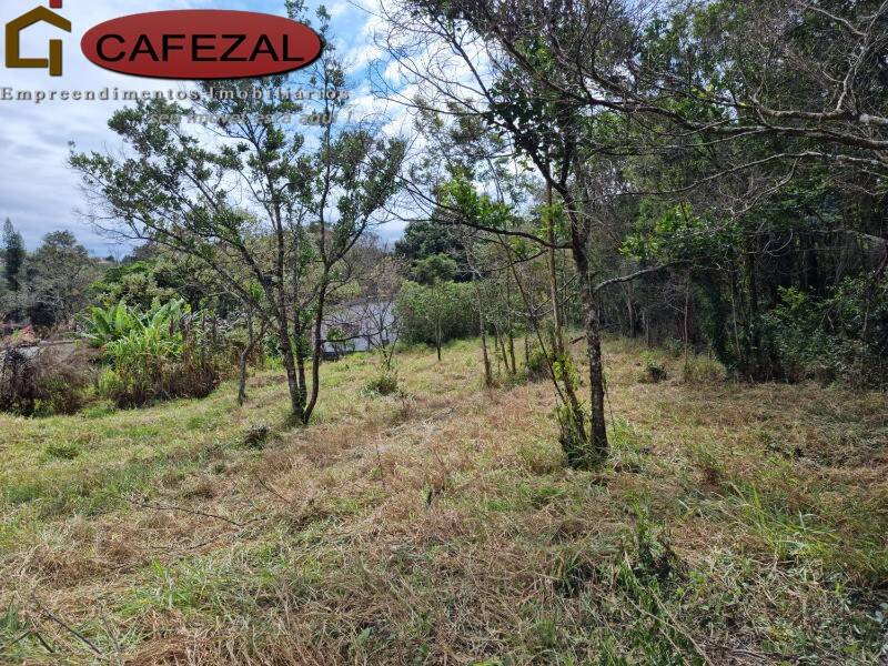 Terreno, 5000 m² - Foto 9