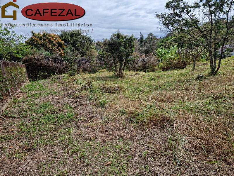Terreno, 5000 m² - Foto 10