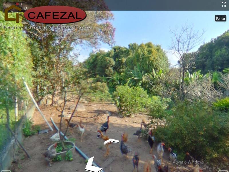 Sítio, 3 quartos, 3 hectares - Foto 15