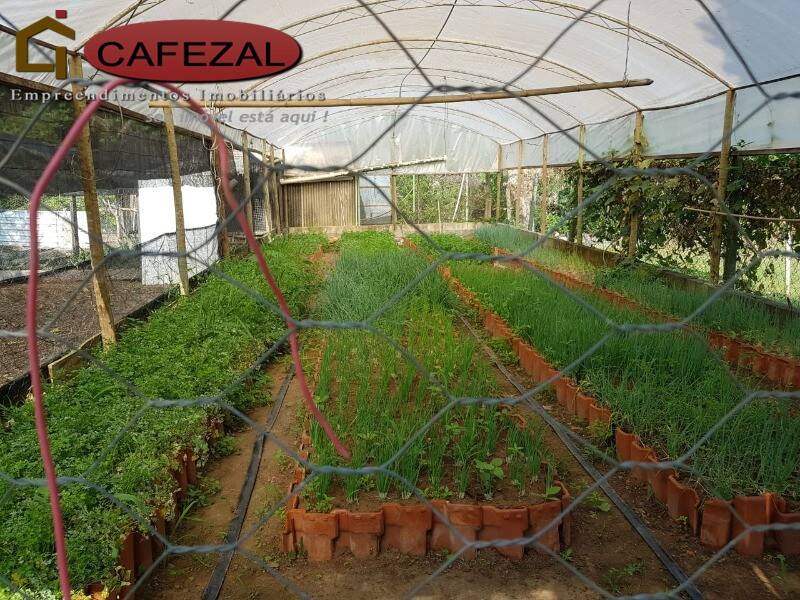 Sítio, 3 quartos, 3 hectares - Foto 28