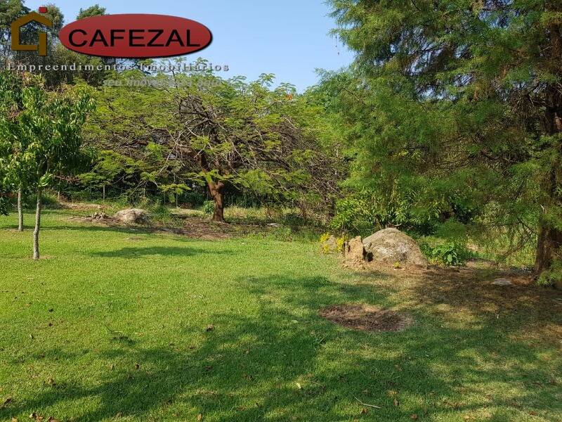 Sítio, 3 quartos, 3 hectares - Foto 30