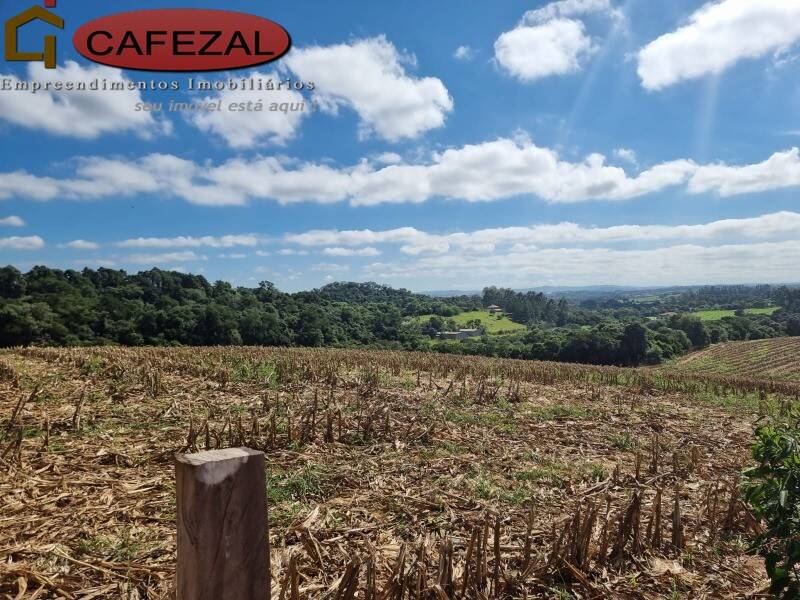 Depósito-Galpão - Foto 6