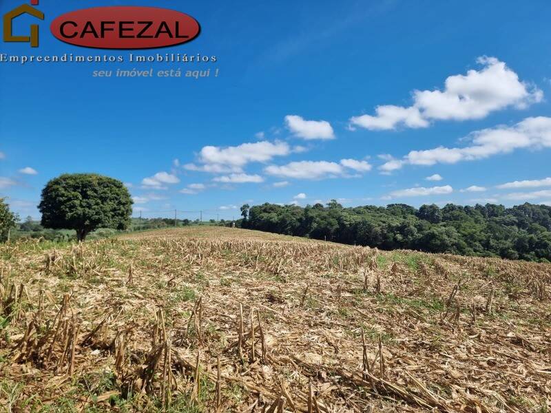 Depósito-Galpão - Foto 7